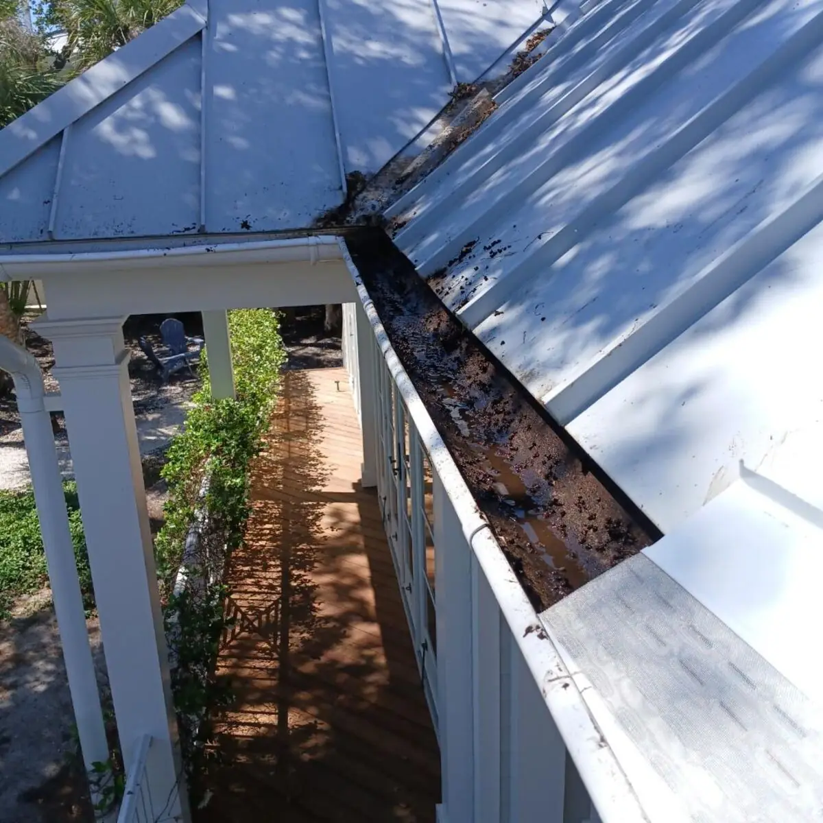Gutter clogged with leaves and debris above a Florida porch