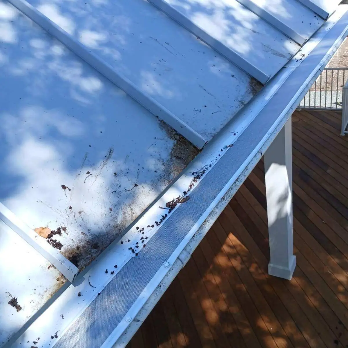 Heavy leaf and debris buildup inside a residential gutter